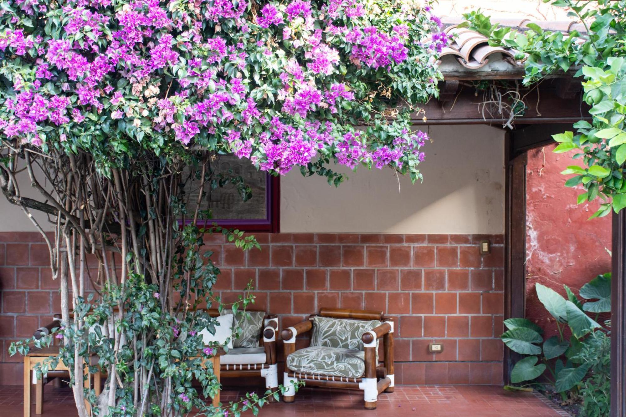 Hotel Boutique La Candela Salta Exterior photo